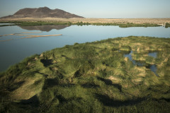 Las Arenitas Treatment Wetland