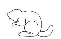 A line drawing of a beaver. 